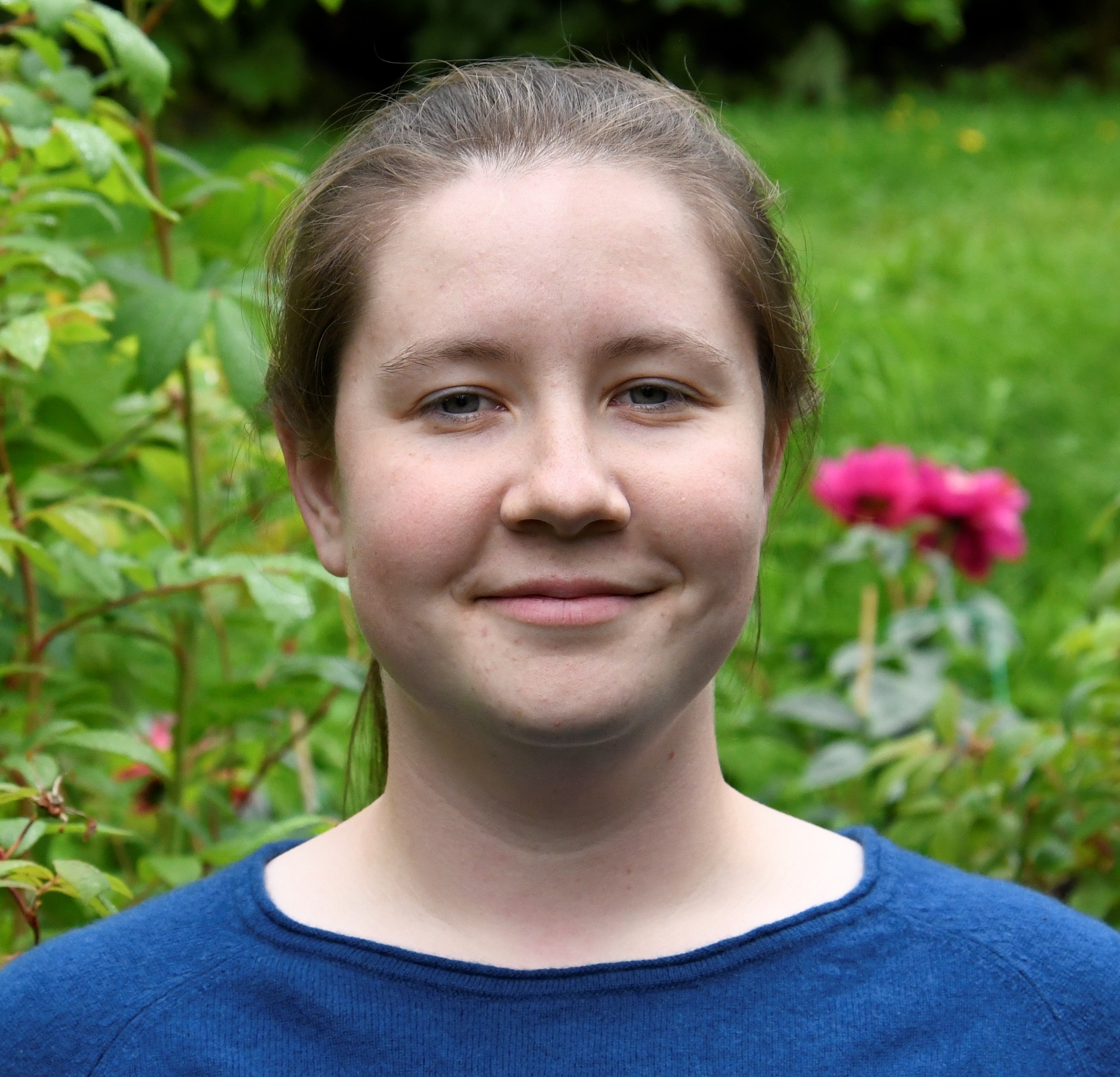 Shanley-DeBuse