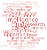 RISC 2022 word cloud