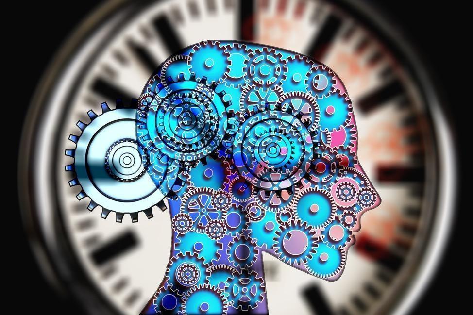 Image of head with cogs